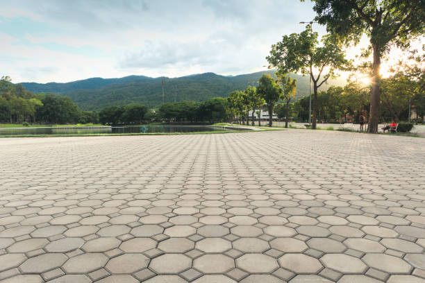 Best Best Driveway Pavers  in Boscobel, WI